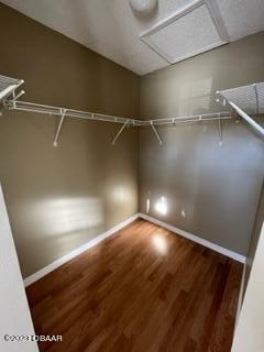 11 Pickcane Lane Palm Coast, FL 32164 - Photo 5 of 10 IMG_9389