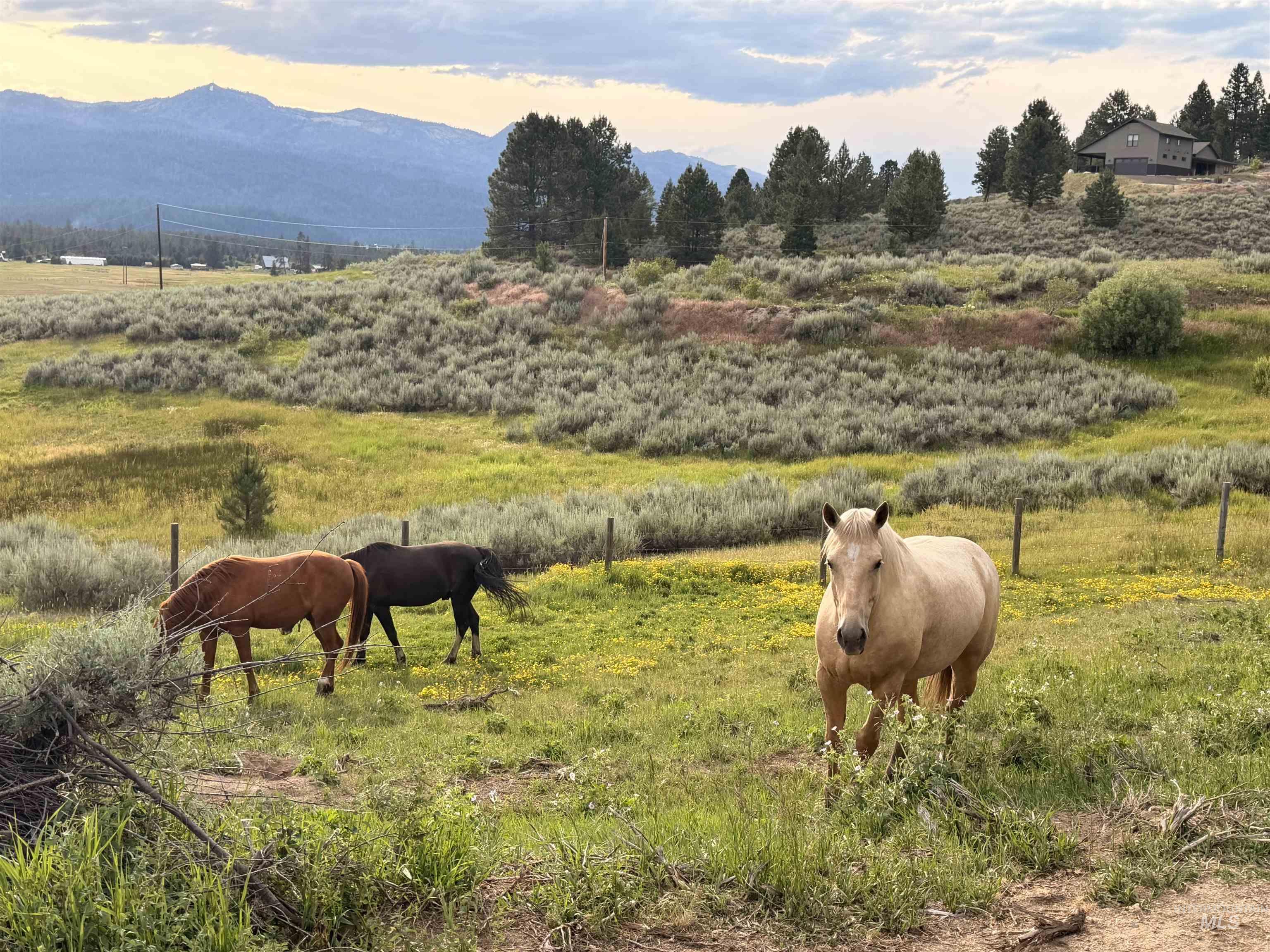 40 Atkin Lane Cascade, ID 83611 - Photo 32 of 46 Expansive pastoral grounds featuring natural sagebrush and green grasses