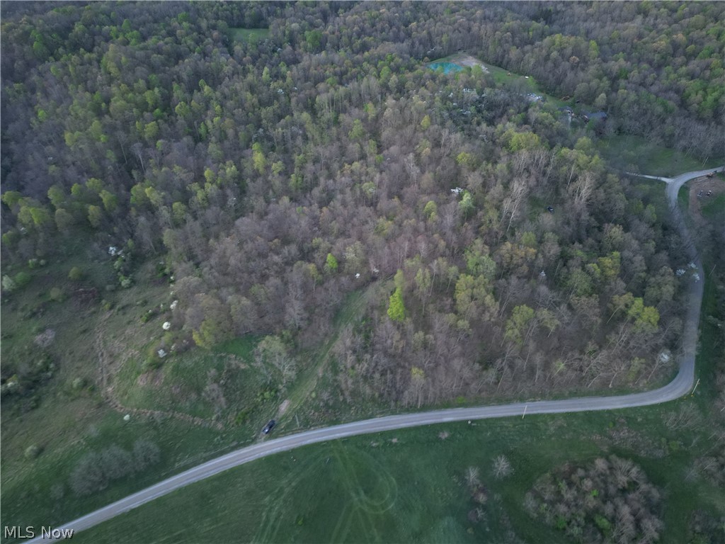 Zane Road Lore City, OH 43755 - Photo 5 of 13