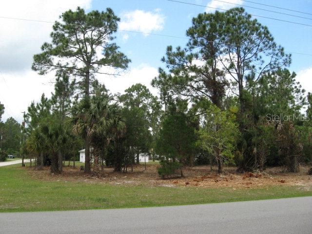 31 Rae Drive Palm Coast, FL 32164 - Photo 1 of 1 Gallery Image 1