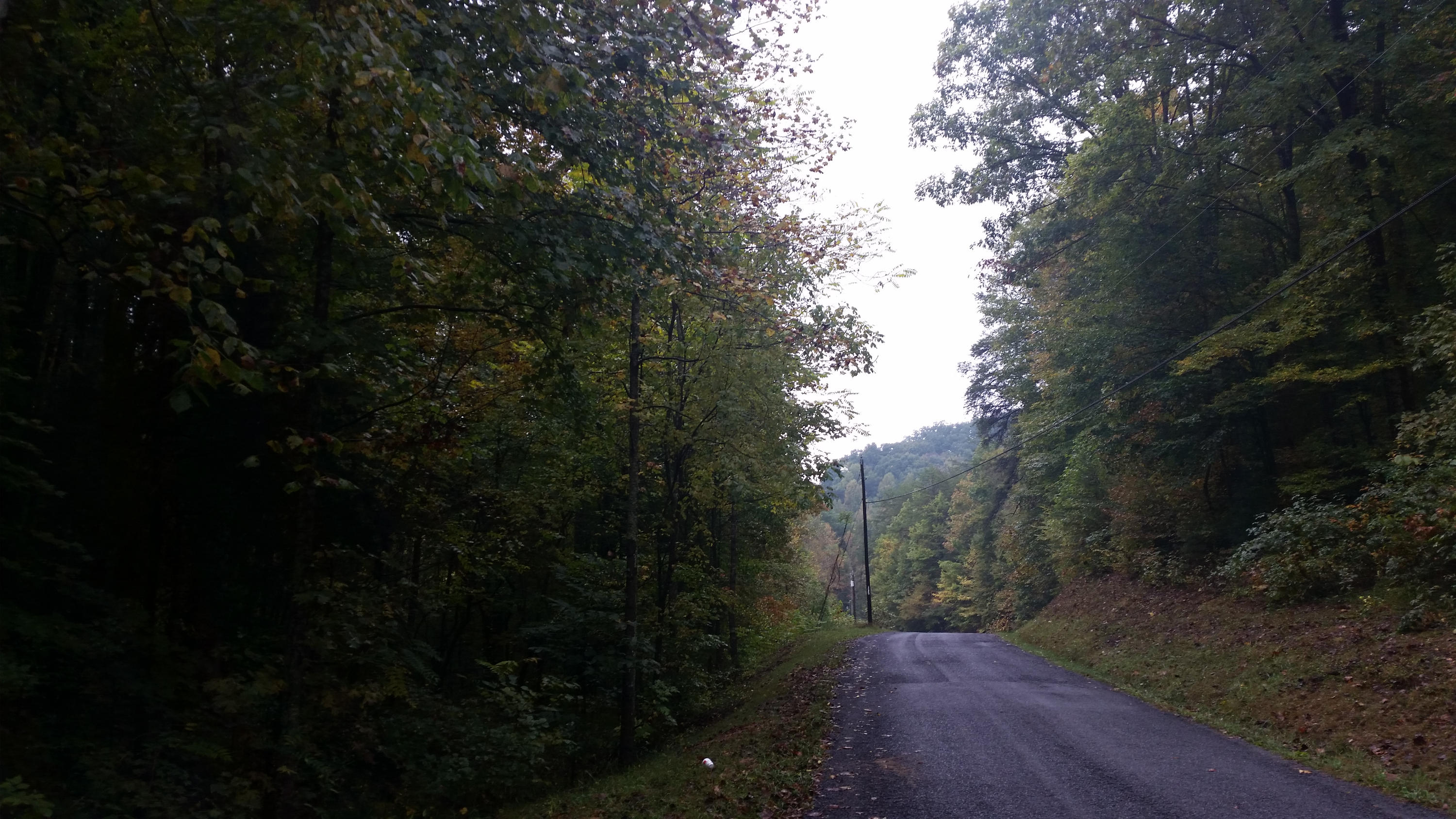 Lot 21 Speedewell Road Bulls Gap, TN 37711 - Photo 14 of 18 2014-10-11 11