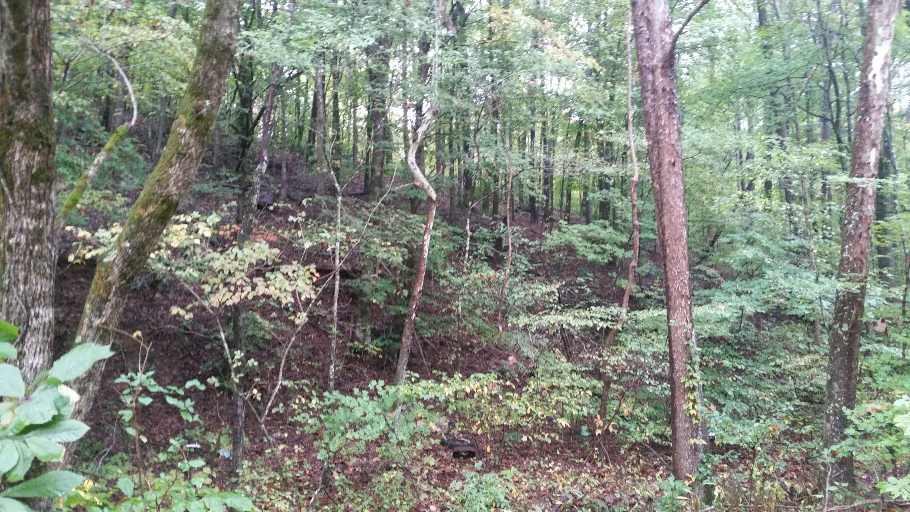 Lot 21 Speedewell Road Bulls Gap, TN 37711 - Photo 3 of 18 2014-10-11 11