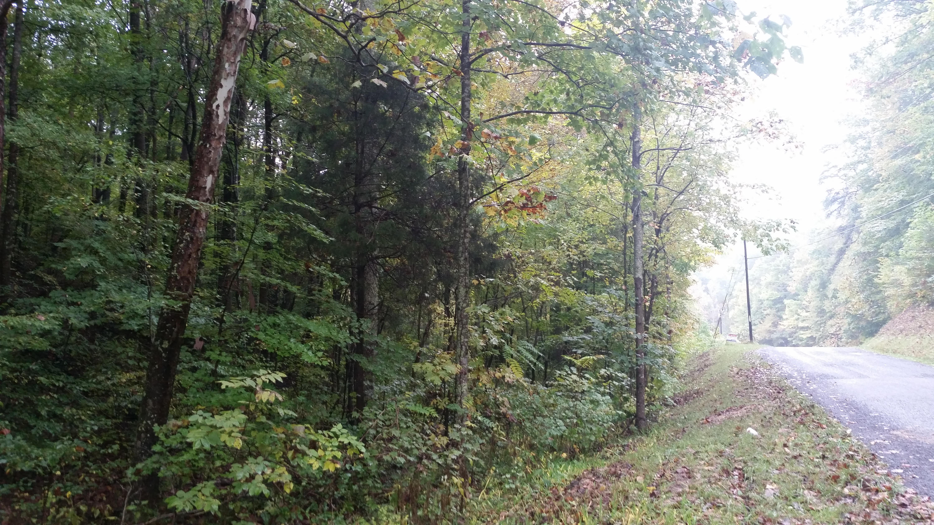 Lot 21 Speedewell Road Bulls Gap, TN 37711 - Photo 4 of 18 2014-10-11 11