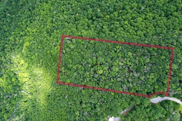 a picture of flowers