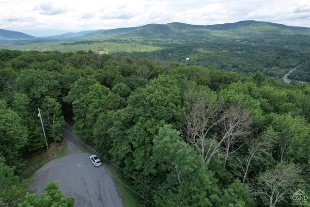 a view of a lush green forest with trees and houses