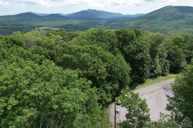a view of a bunch of trees