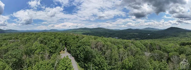 a view of a yard with plants