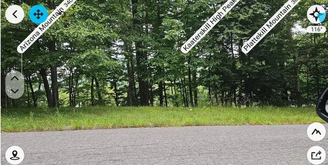 a view of a lush green hillside and a houses