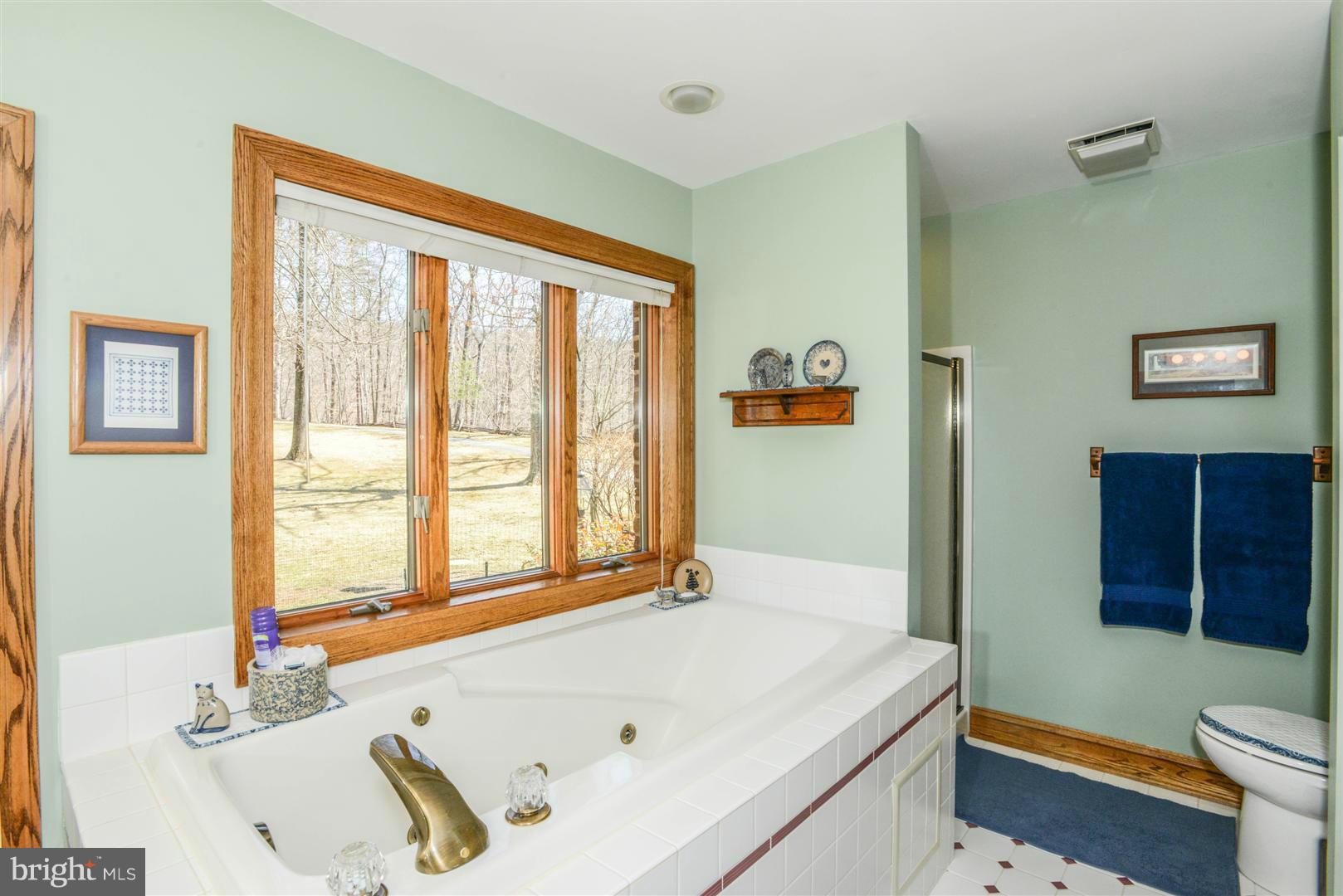 2512 Chestnut Grove Road Sharpsburg, MD 21782 - Photo 14 of 30 Bath