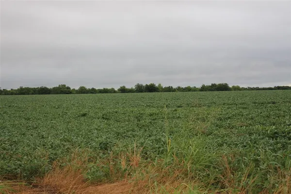a view of a field with trees in background