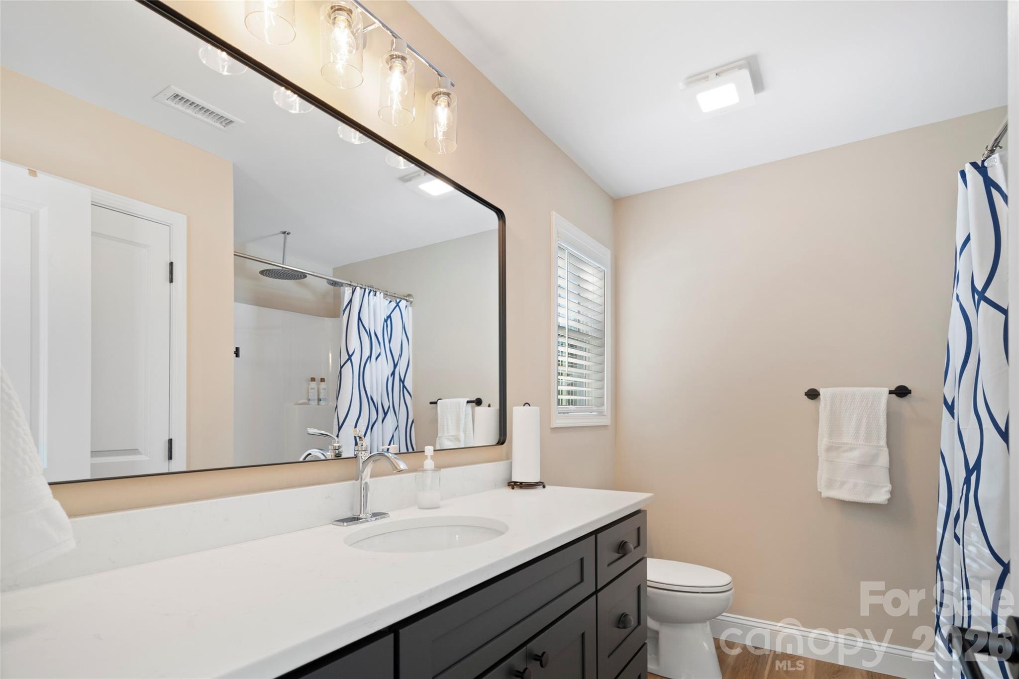5961 Charlie Little Road Granite Falls, NC 28630 - Photo 17 of 29 a bathroom with a sink a toilet and mirror