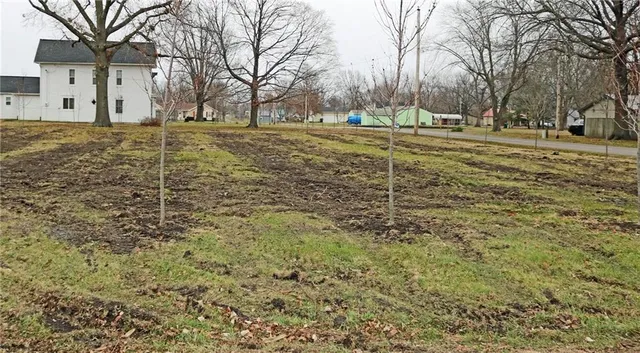 $30,000 | 500 Pennsylvania Avenue, East Lynne, MO 64743