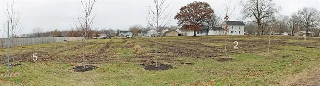 $30,000 | 500 Pennsylvania Avenue, East Lynne, MO 64743