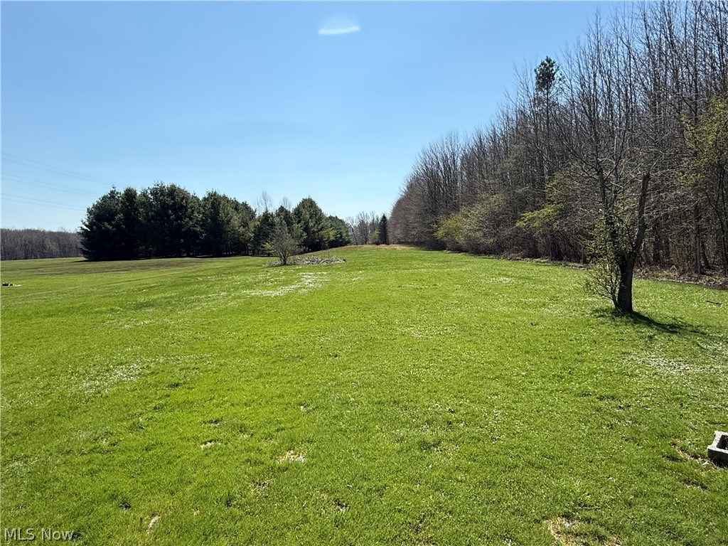17373 Stocking Road Thompson, OH 44086 - Photo 35 of 37 deep lot