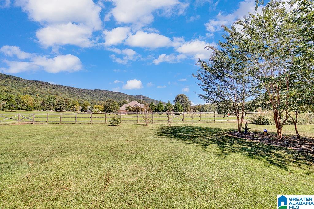 133 Durham Drive Springville, AL 35146 - Photo 39 of 44