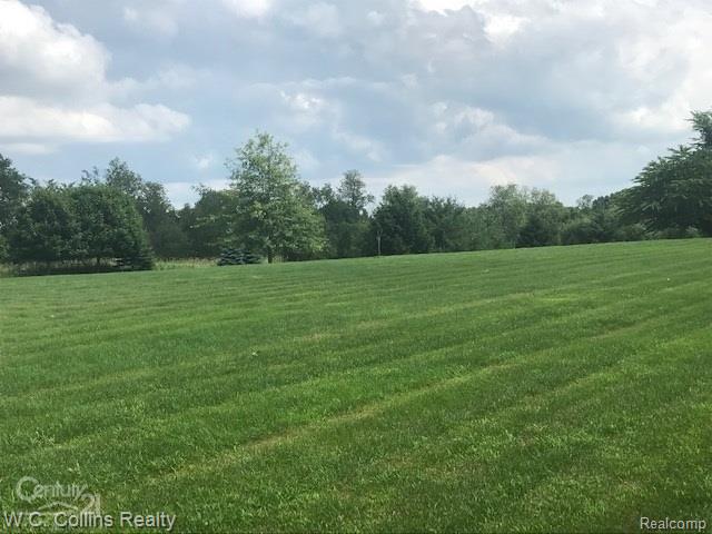3000 Taft Road Romeo, MI 48065 - Photo 4 of 72 4.jpg