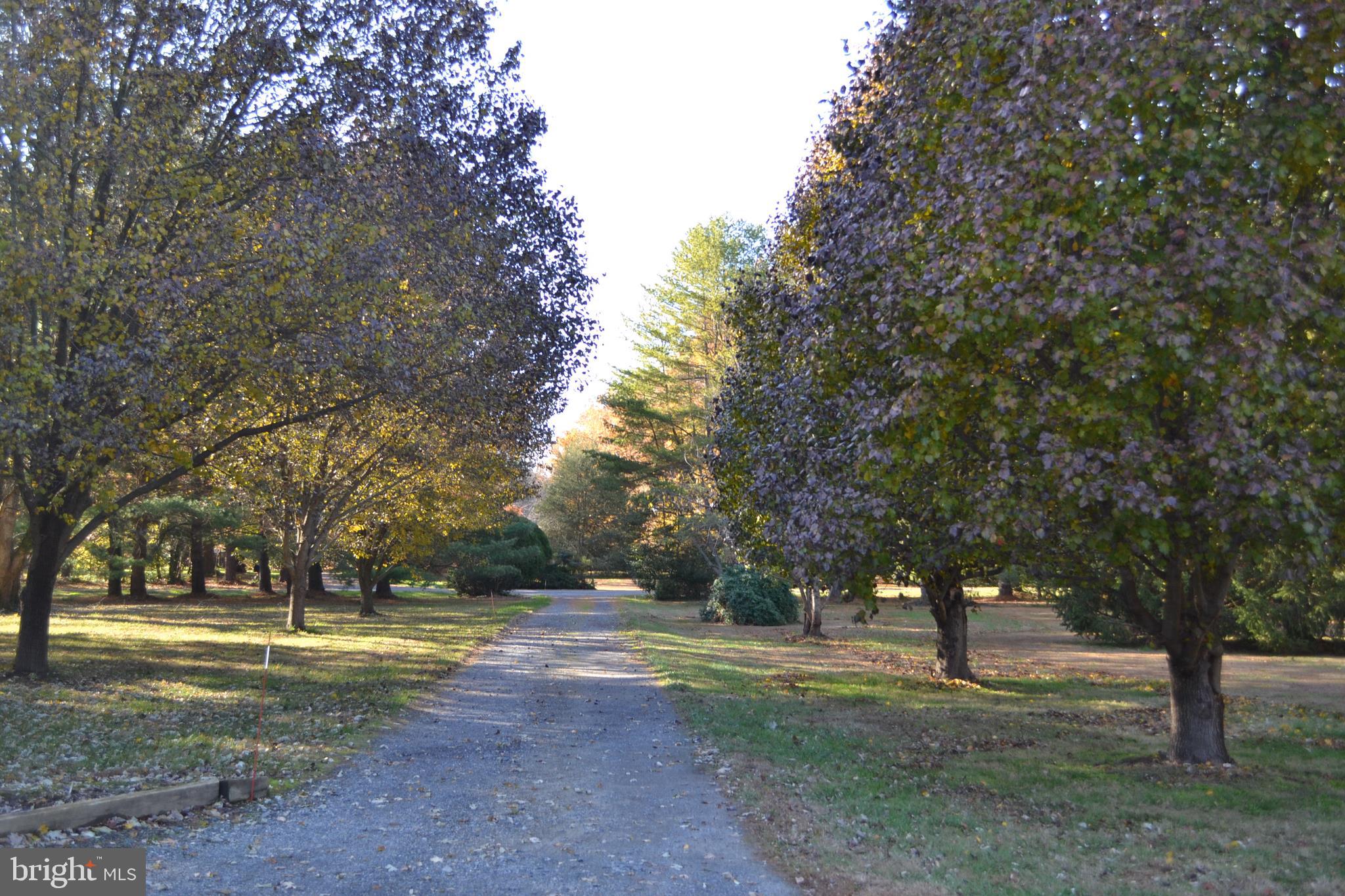 7203 Solitude Road St. Michaels, MD 21663 - Photo 1 of 20