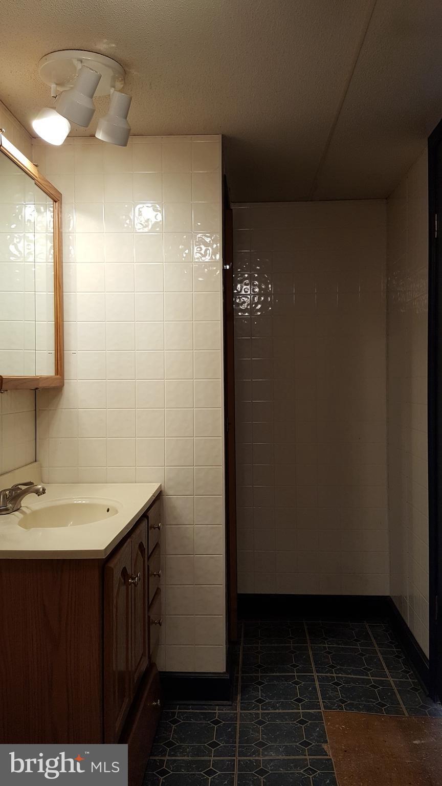 24581 Hells Delight Road Smithsburg, MD 21783 - Photo 14 of 22 a bathroom with a sink and a mirror
