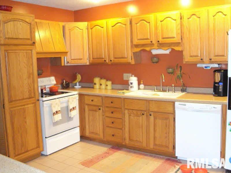 1307 Ritchey Drive Marion, IL 62959 - Photo 3 of 15 Gallery Image 3
