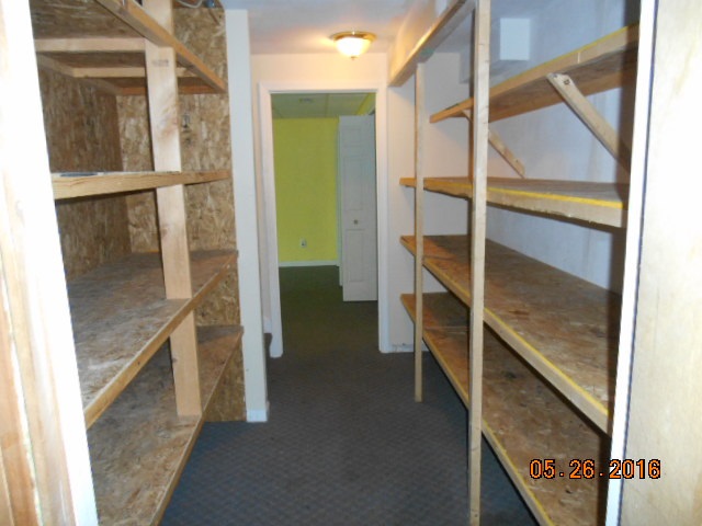 938 Lake Summerset Road Davis, IL 61019 - Photo 24 of 25 a view of walk in closet with empty racks