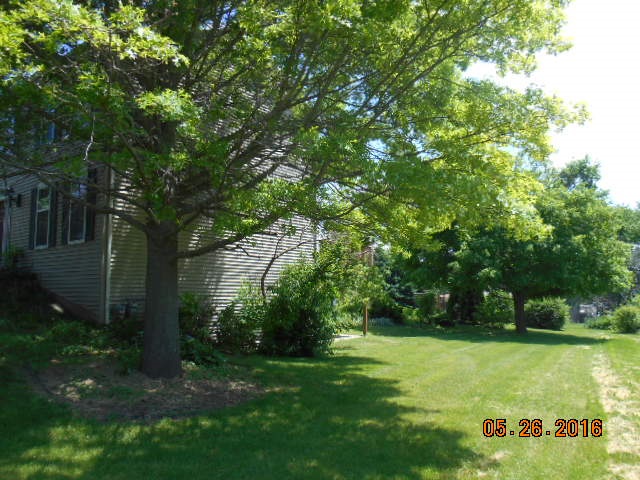 938 Lake Summerset Road Davis, IL 61019 - Photo 3 of 25 a view of a trees with a yard