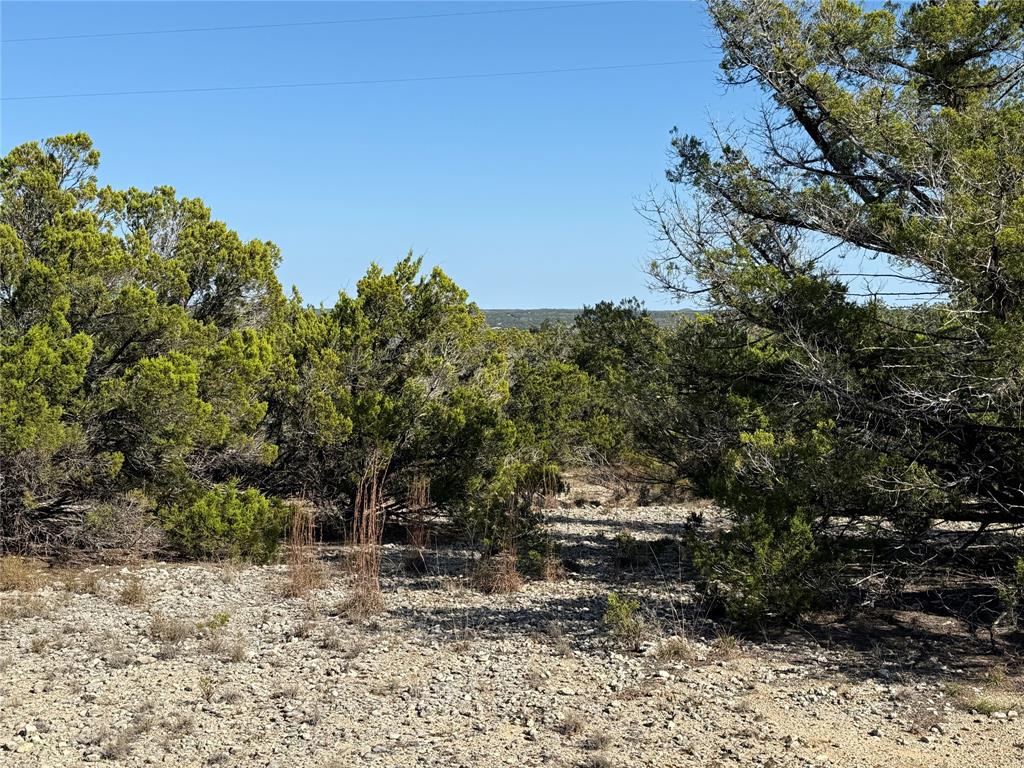 221 Ranch House Road Wimberley, TX 78676 - Photo 5 of 11 Land is flush with history and great build sites.