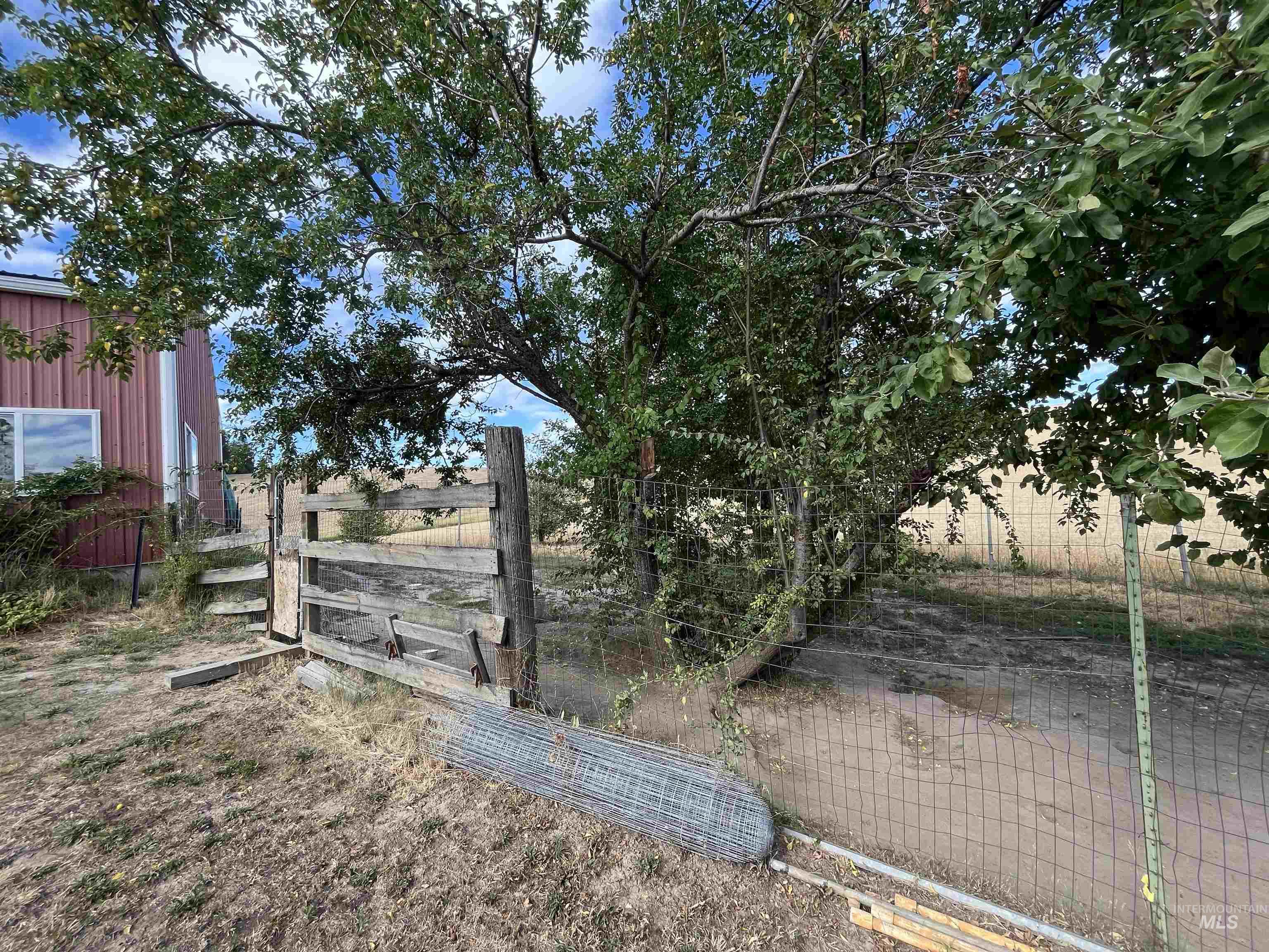 1048 Reynolds Road Princeton, ID 83857 - Photo 30 of 41 Please do NOT approach the dogs!