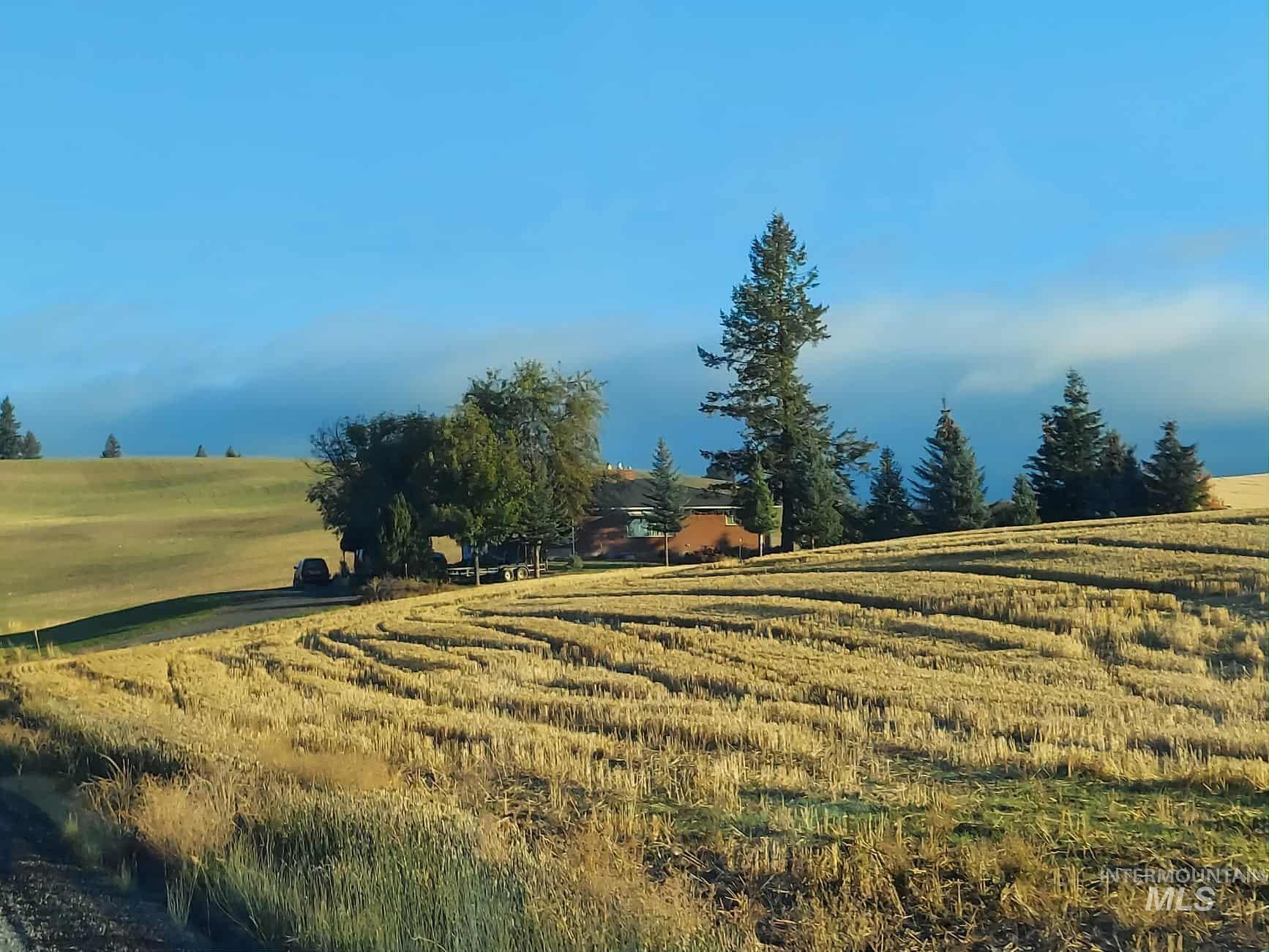 1048 Reynolds Road Princeton, ID 83857 - Photo 33 of 41 View of grassy yard featuring a rural view