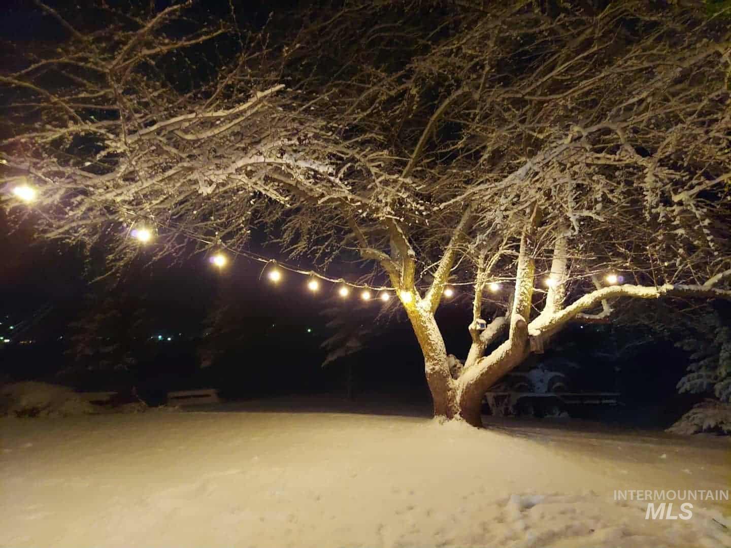 1048 Reynolds Road Princeton, ID 83857 - Photo 36 of 41 View of yard at night
