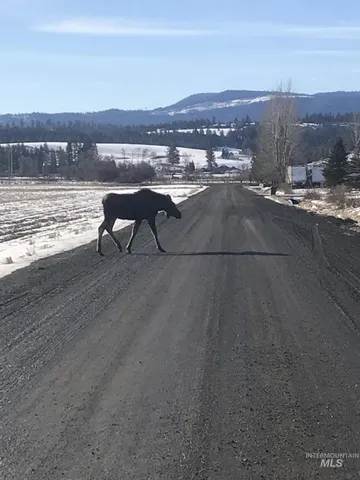 $455,000 | 1048 Reynolds Road, Princeton, ID 83857