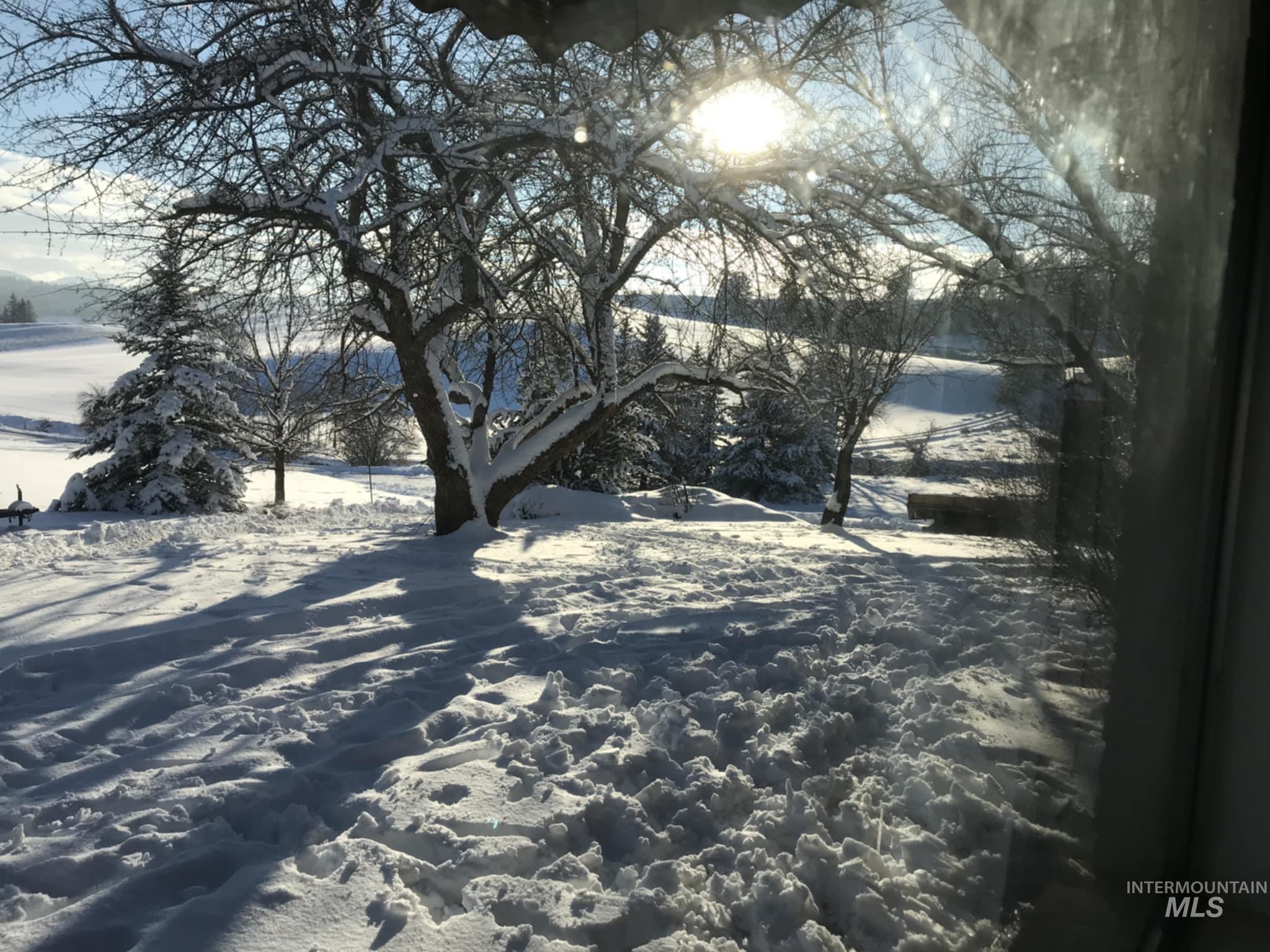 1048 Reynolds Road Princeton, ID 83857 - Photo 39 of 41 View of street