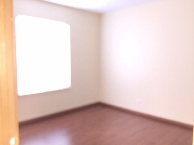 2728 Cedar Glade Road Naperville, IL 60564 - Photo 12 of 14