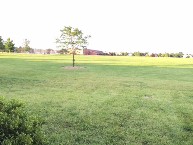 2728 Cedar Glade Road Naperville, IL 60564 - Photo 14 of 14