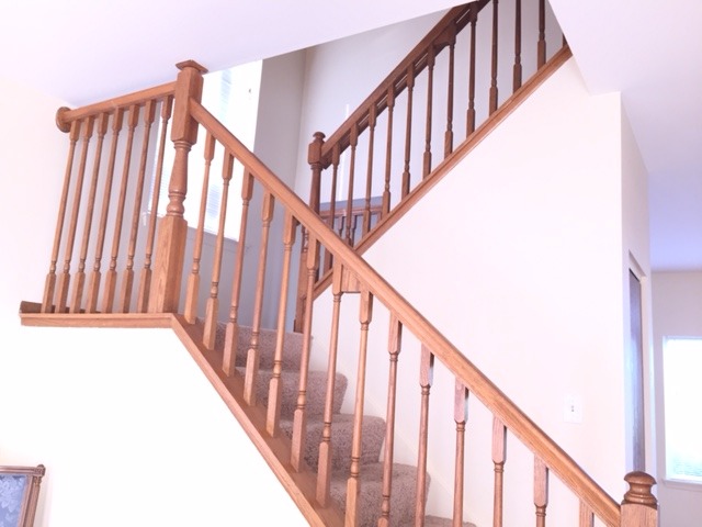 2728 Cedar Glade Road Naperville, IL 60564 - Photo 3 of 14