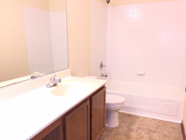 2728 Cedar Glade Road Naperville, IL 60564 - Photo 10 of 14