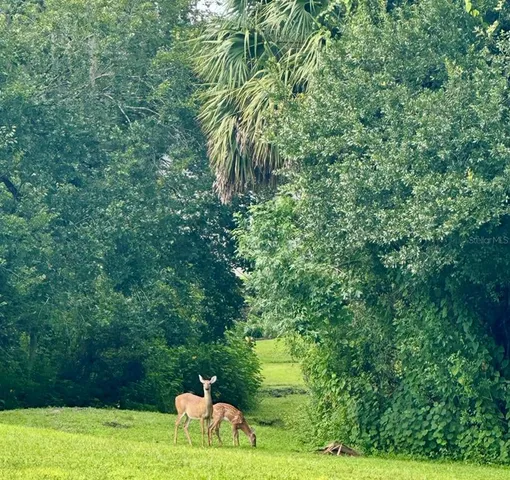 $757,500 | 2111 Rocky Bluff Court, Oviedo, FL 32765