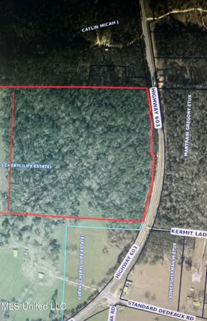 $550,000 | 603 Highway Kiln Ms 39556, Perkinston, MS 39573