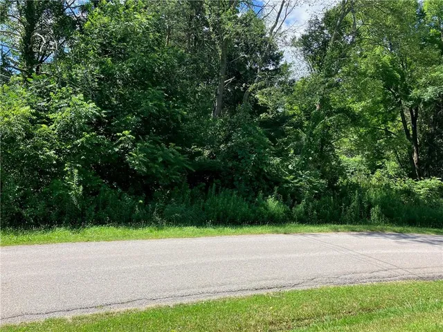 a view of a yard with plants and large trees