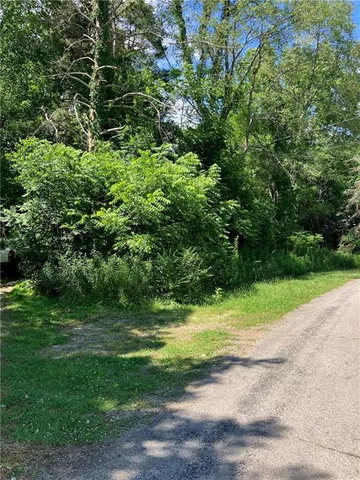 a view of a yard with a trees