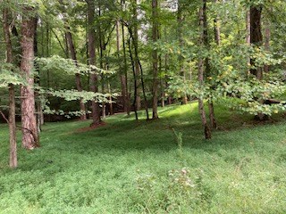 3505 R Castle Court Ellijay, GA 30540 - Photo 7 of 8