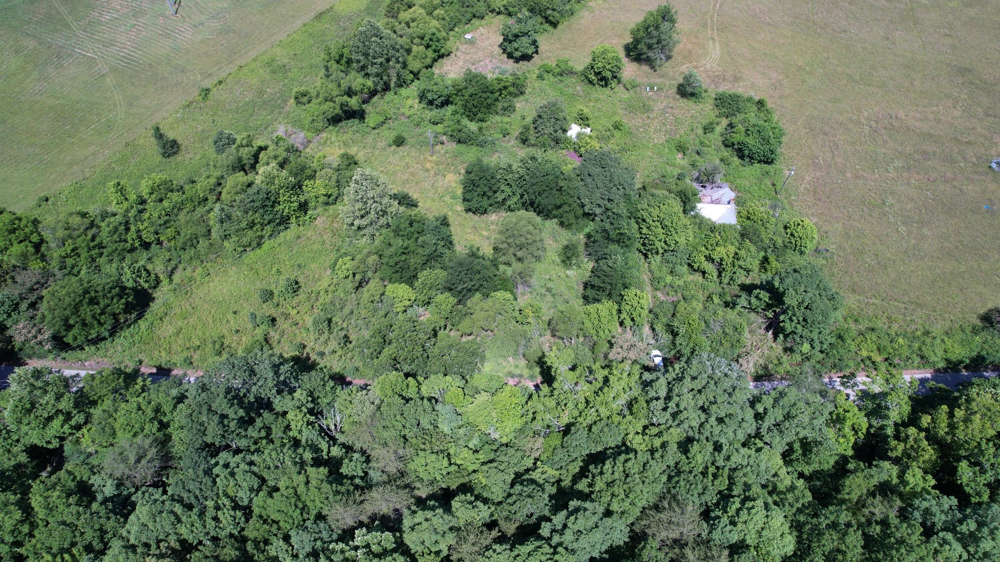 5047 Toestring Valley Road Spring City, TN 37381 - Photo 3 of 44 Gallery Image 3
