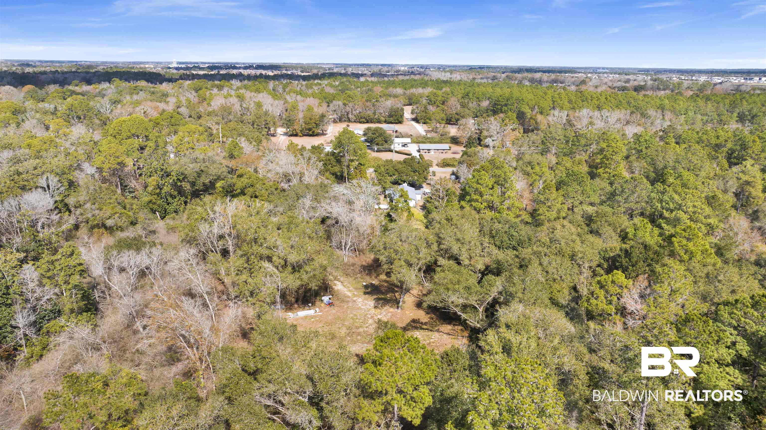 20568 Keller Road Foley, AL 36535 - Photo 8 of 13 Bird's eye view of a forest
