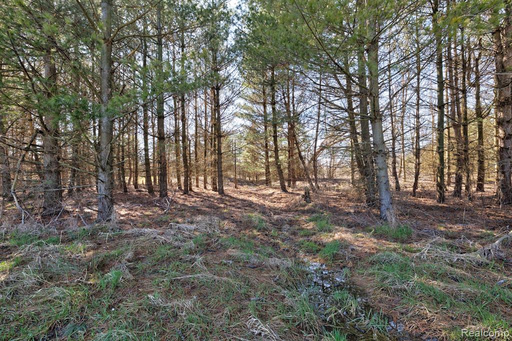 11899 Burt Road Memphis, MI 48041 - Photo 32 of 61