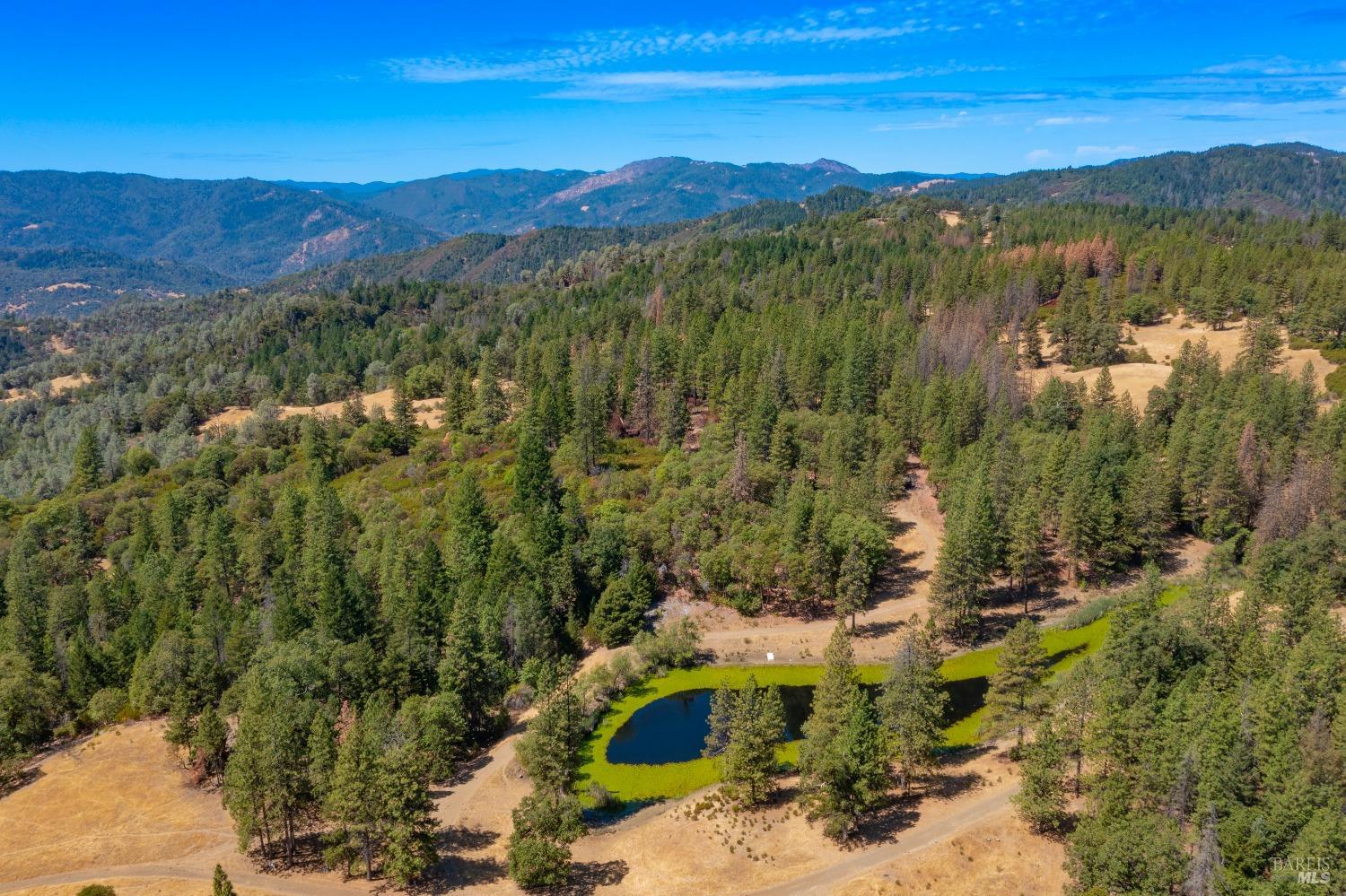58380 Highway 162 Dos Rios, CA 95429 - Photo 4 of 62
