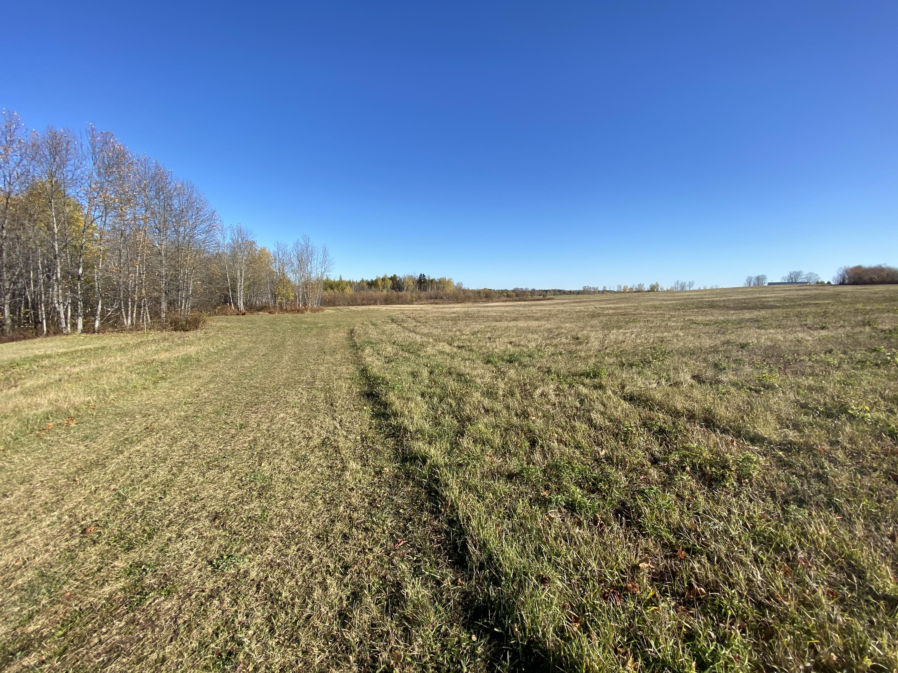 Lot 14 Carson Road Perham, ME 04766 - Photo 4 of 4 IMG_2808
