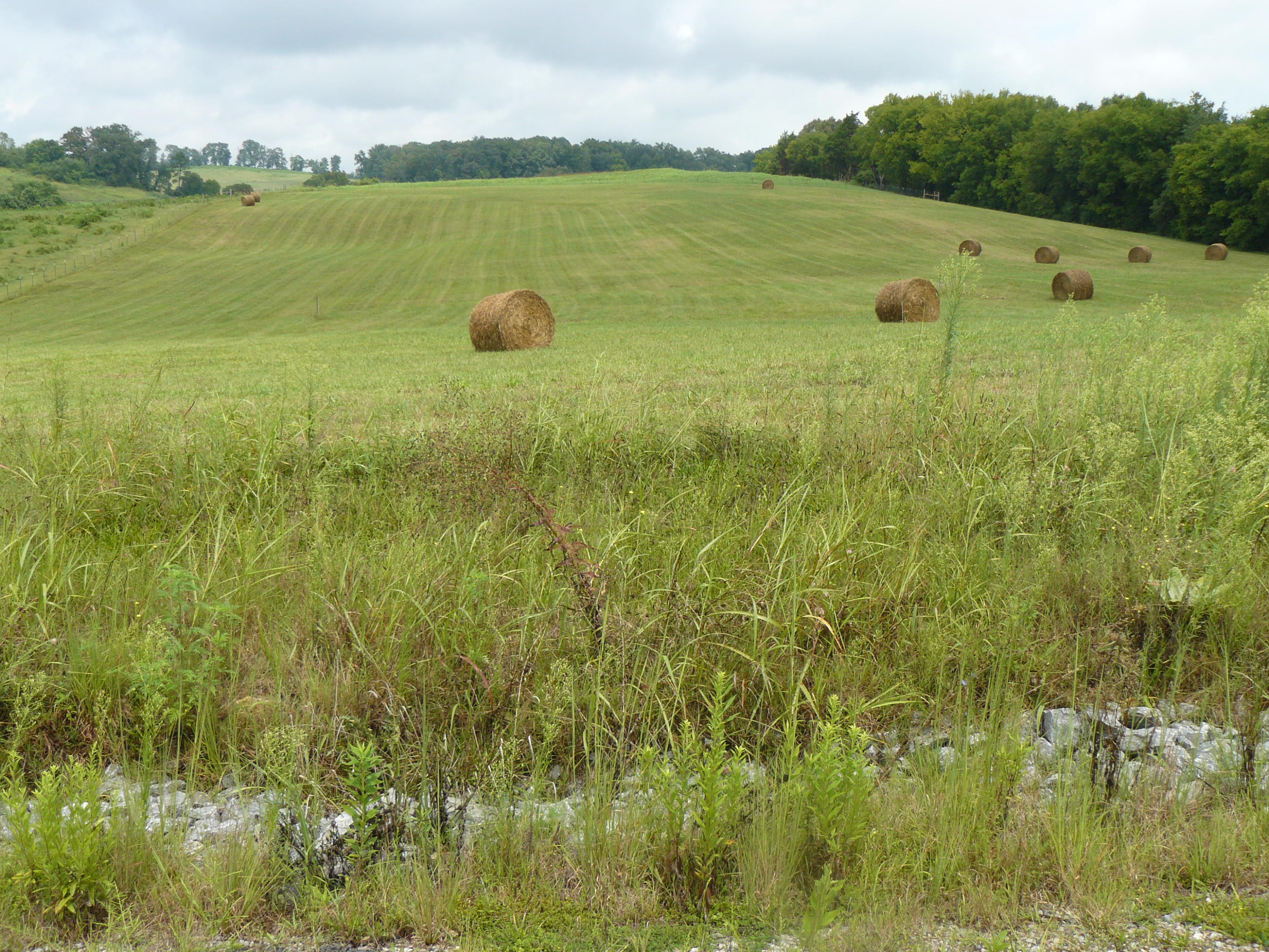 Lot 2 Lookout Drive Rutledge, TN 37861 - Photo 1 of 1 P1360957