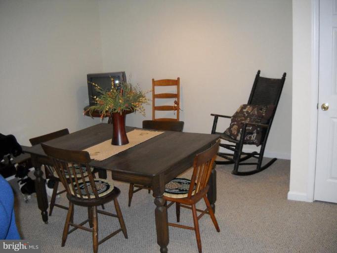 502 Fishel Road Winchester, VA 22602 - Photo 14 of 21 Basement #1