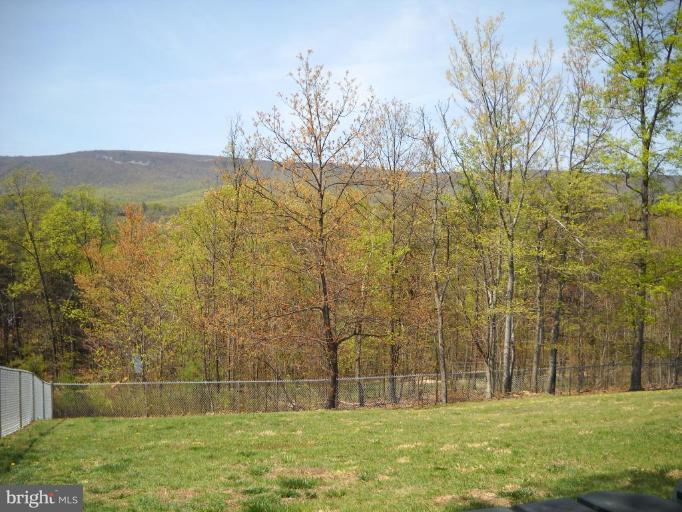502 Fishel Road Winchester, VA 22602 - Photo 3 of 21 Mountain View 1