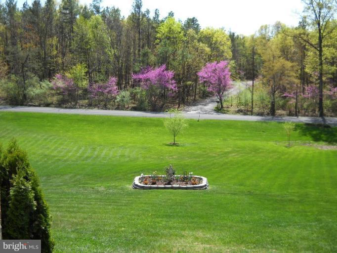 502 Fishel Road Winchester, VA 22602 - Photo 4 of 21 Front yard