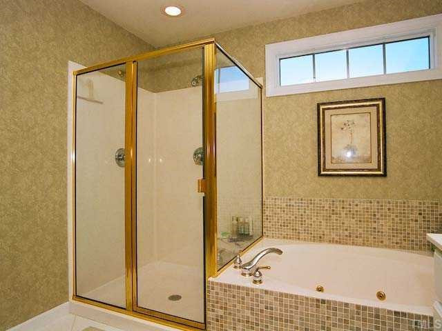 3613 Baron Monck Pass Raleigh, NC 27612 - Photo 9 of 12 Master Bath/Spa